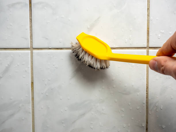 Best Health and Safety Mold Remediation in Broadview, IL
